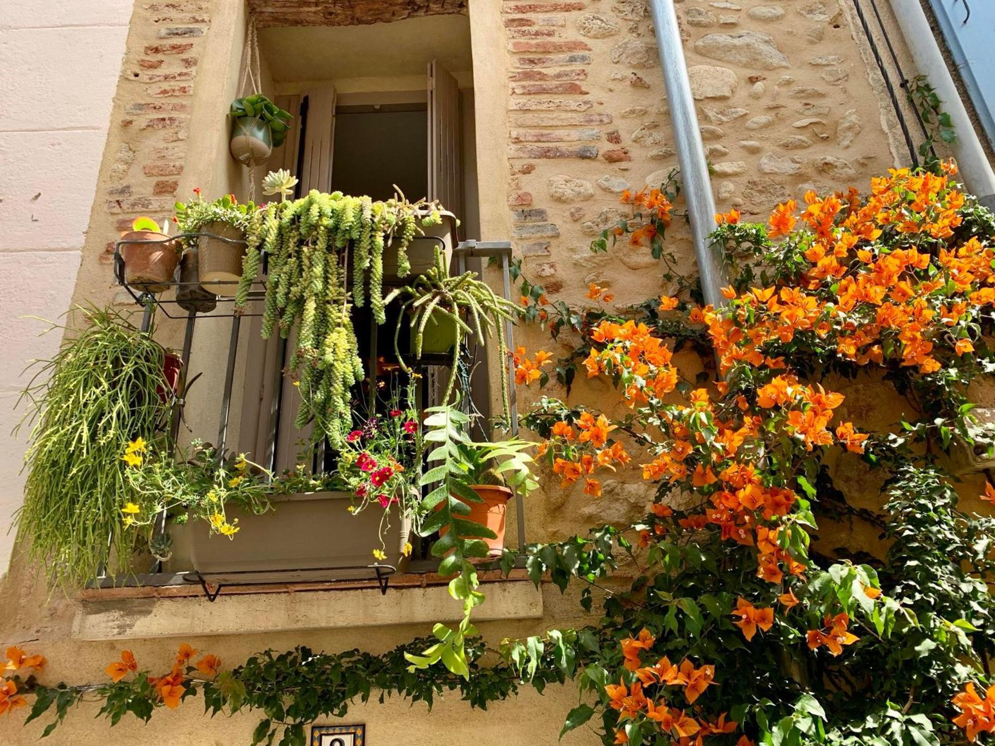 Maison Historique Rue Vermeille Argeles Sur Mer Esterno foto