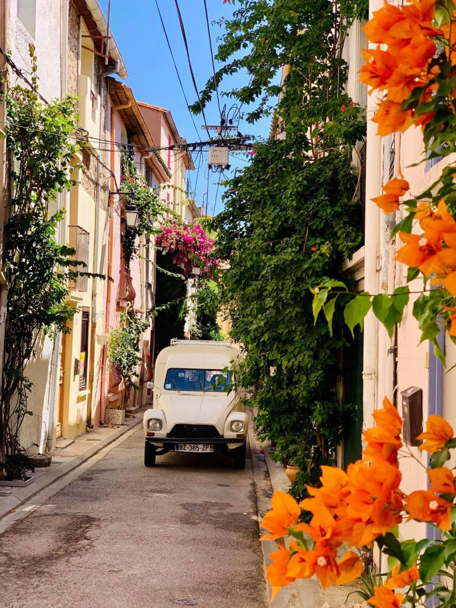 Maison Historique Rue Vermeille Argeles Sur Mer Esterno foto